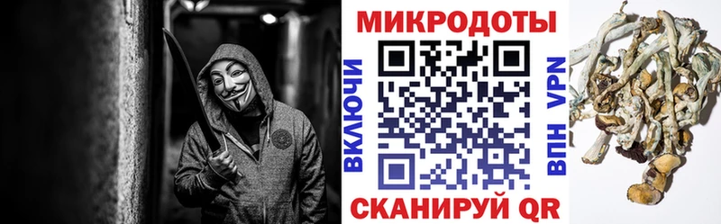 Псилоцибиновые грибы Psilocybine cubensis KRAKEN ТОР Мосальск